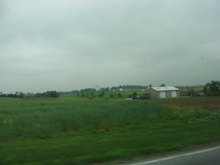 View IMG 2178